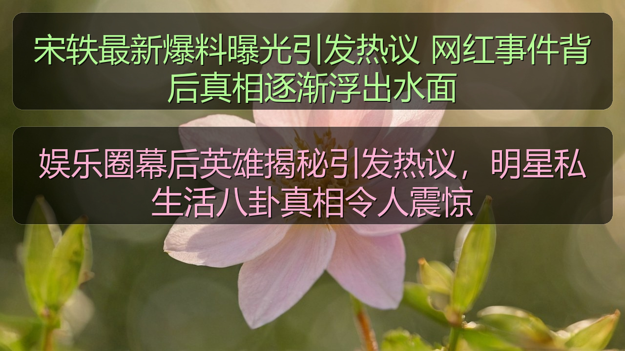 黑料网每日大赛 - 宋轶最新爆料曝光引发热议 网红事件背后真相逐渐浮出水面