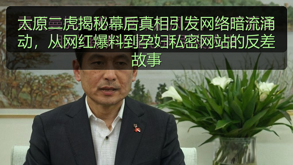 国产探花 - 太原二虎揭秘幕后真相引发网络暗流涌动,从网红爆料到孕妇私密网站的反差故事