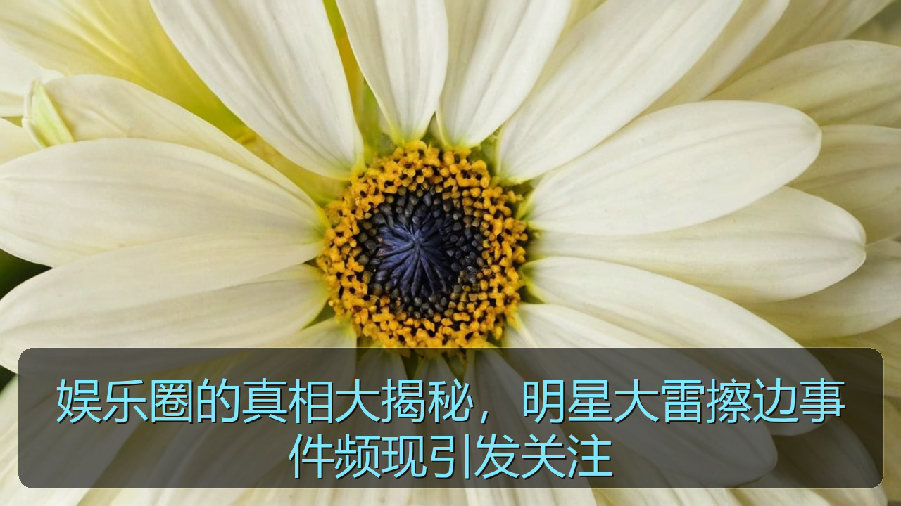 娱乐圈的真相大揭秘,明星大雷擦边事件频现引发关注