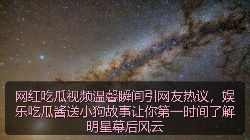 娱乐圈老司机的头像